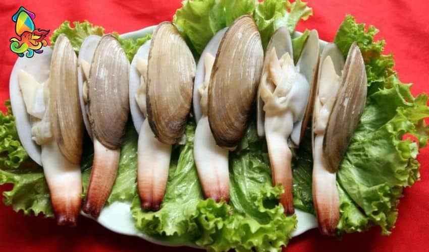 What is a Geoduck? Characteristics, Nutritional Value, and Preparation Methods 2 Geoduck clams contain many essential nutrients for the human body