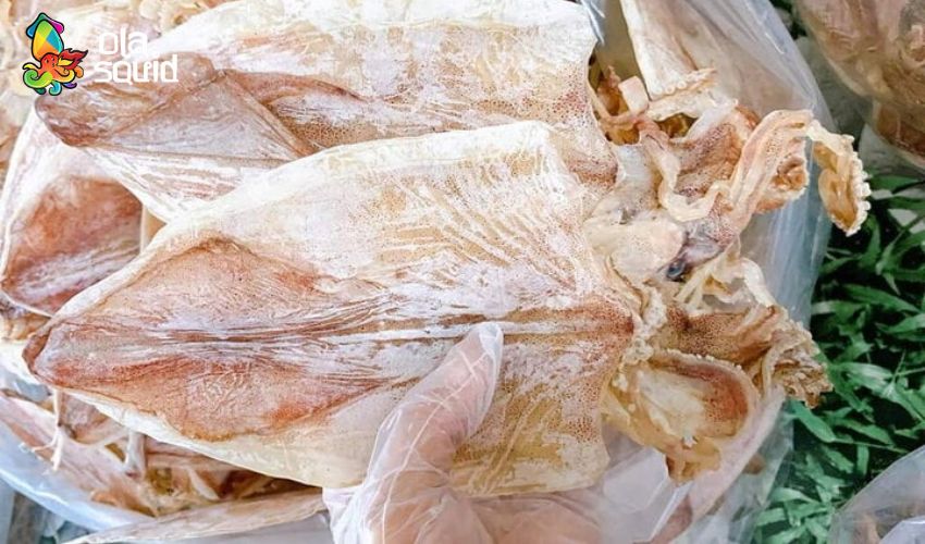 Sau sinh bao lâu thì ăn được mực khô? Lưu ý và liều lượng ăn phù hợp 7 Mực khô chất lượng có màu vàng nhạt tự nhiên, lớp phấn trẳng mỏng cùng mùi thơm đặc trưng của hải sản khô