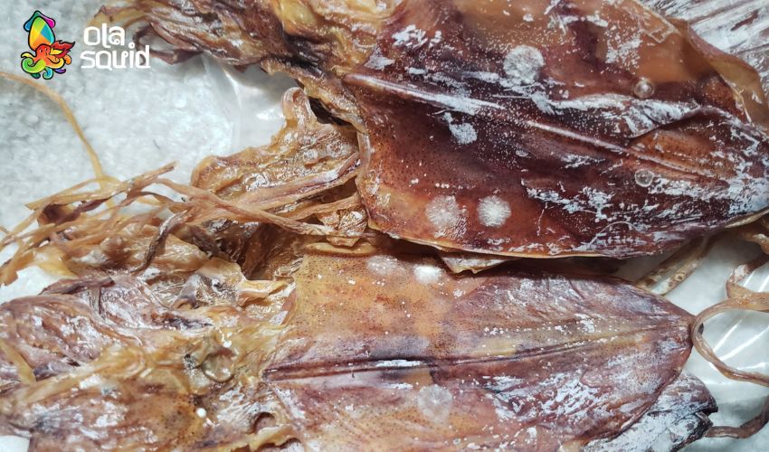 Mực khô Hạ Long là gì? Cập nhật giá và địa chỉ mua uy tín 7 Mực khô hơi ẩm ướt có đốm nhỏ là dấu hiệu nhận biết mực khô mốc