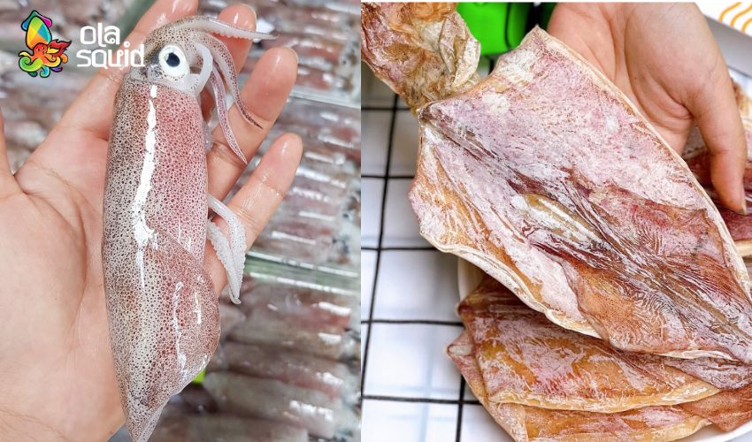 Sau sinh bao lâu thì ăn được mực khô? Lưu ý và liều lượng ăn phù hợp 6 Mực tươi có thể đưa vào chế độ ăn của mẹ sau sinh sớm hơn so với mực khô