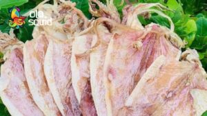 Giá mực khô ở Cát Bà cập nhật mới nhất