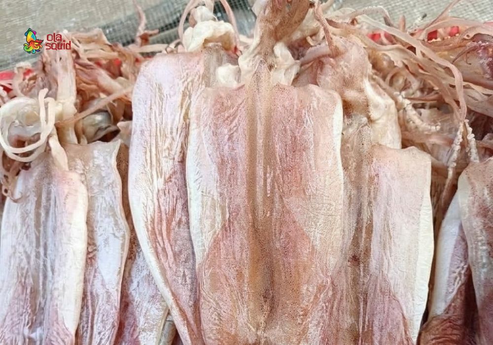 Điểm danh 8 vùng biển mực khô ngon nhất Việt Nam 4 Cách nhận biết mực khô chất lượng qua màu sắc, độ khô và độ chắc của thân